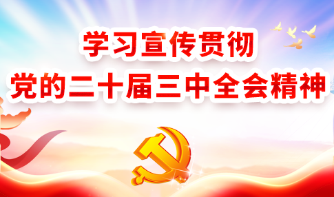 学习宣传贯彻党的二十届三中全会精神