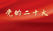党的二十大